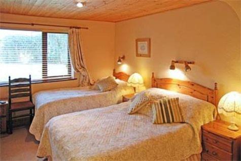 Bunratty Heights Guesthouse Rum bild